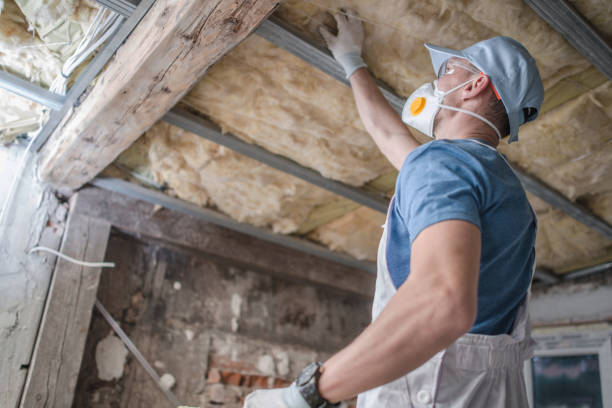 Best Cellulose Insulation in Selden, NY